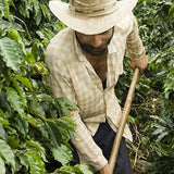 Brazil Santos