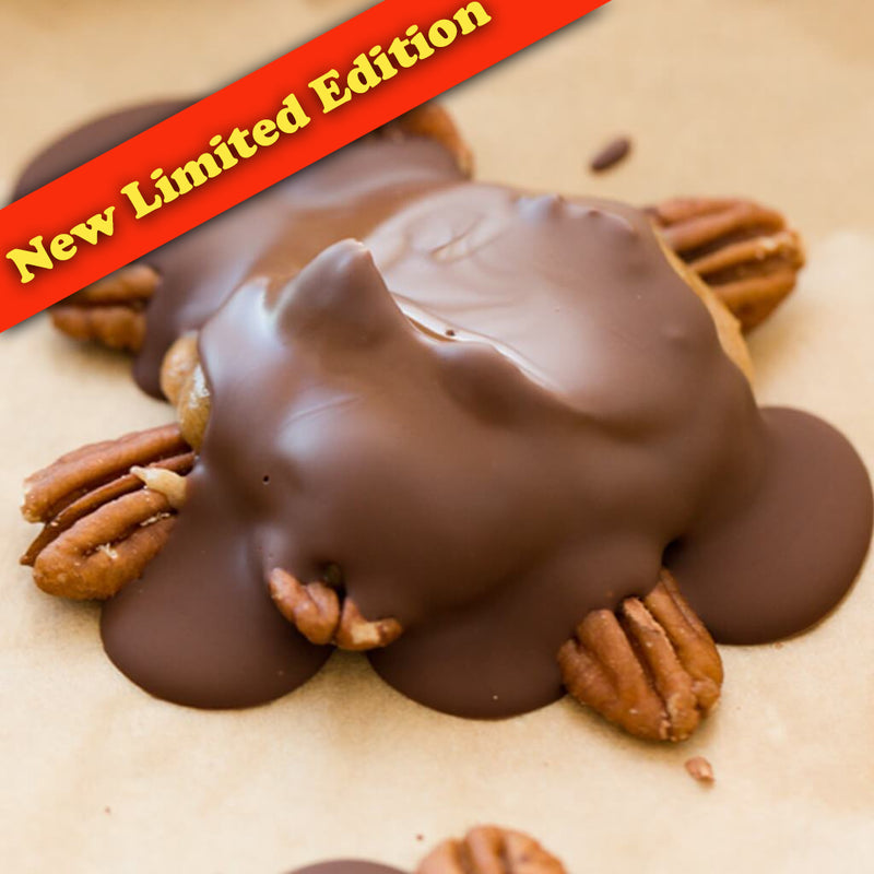 Chocolate Turtle