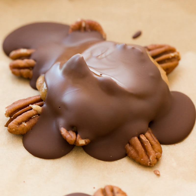 Chocolate Turtle